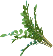 ховер упаковки